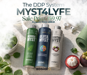 The DDP System